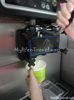 Tutti Frutti Yogurt 21 Tutti Frutti Yogurt 21