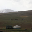 IMG_8035.JPG