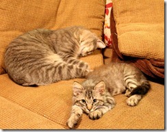 IMG_0052 IMG_0052