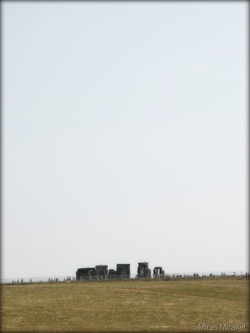 1 1