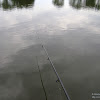 dsc03124.jpg