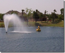 IMG-20110617-01091