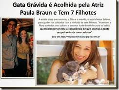 Gata Grávida é Acolhida pela Atriz_thumb[1]