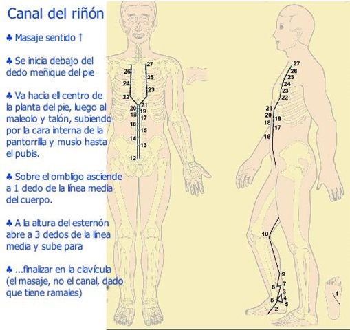 [Canal%2520del%2520ri%25C3%25B1%25C3%25B3n%2520-%2520Gr%25C3%25A1ifico%2520explicado1%255B3%255D.jpg]