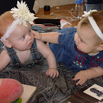 P1020317.JPG