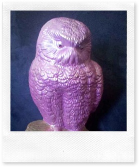 purple owl