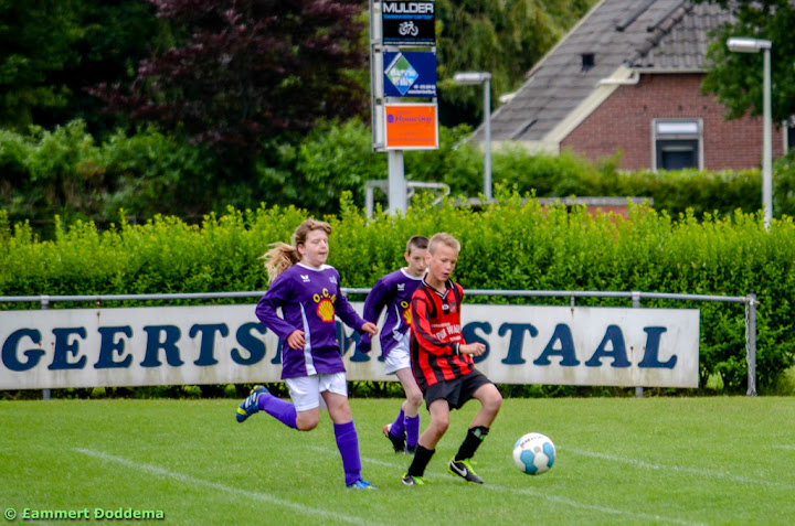 20140614 - WVV D4 - BATO TOERNOOI - 002.jpg