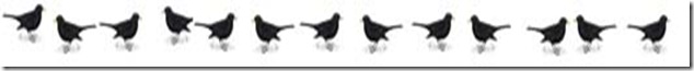 13 blackbirds