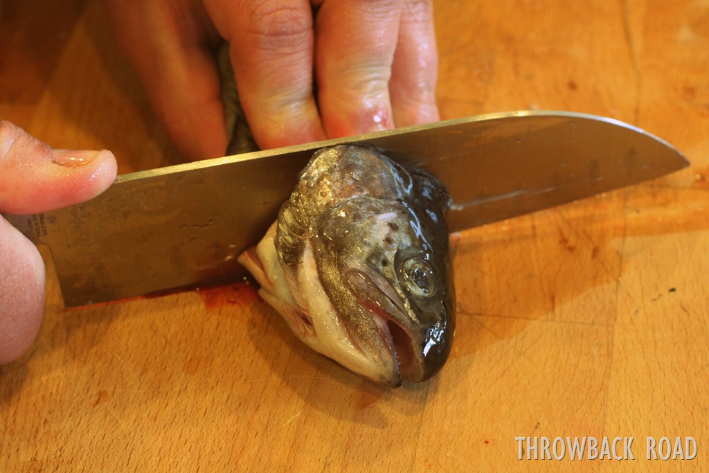 [trout%2520008%255B3%255D.jpg]