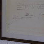 IMG_4139.JPG