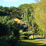 Our guest house (the Rarotonga Backpackers Hillside Bungalows)