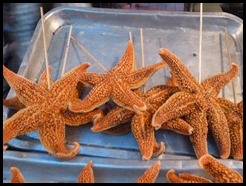 China, Beijing, Night Market,  Star Fish, 18 July 2012 (1)