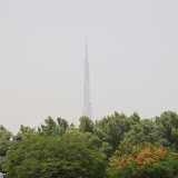 IMG_4579.JPG