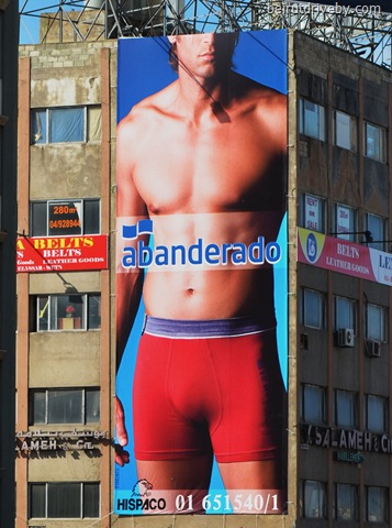 [abanderado%2520%25287%2529%255B3%255D.jpg]