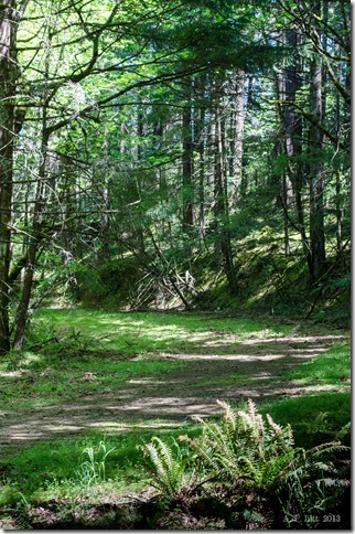 HCRH Eastbound at Lindsey Creek SP Access Road Junction (2013)