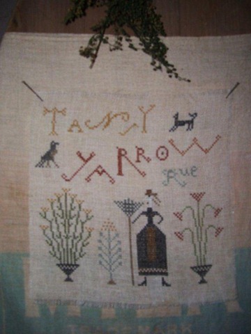 [tansy%2520yarrow%2520rue%2520sampler%252C%2520full%2520view%255B3%255D.jpg]