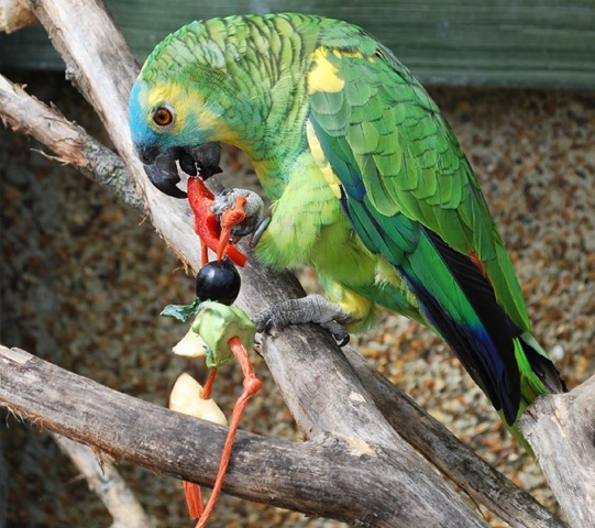 [DSC_0026%255B8%255D.jpg]