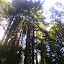 CIMG0105.jpg CIMG0105.jpg