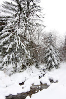 MalaFatra-Vendovka-02.jpg Photo MalaFatra-Vendovka-02.jpg Photo