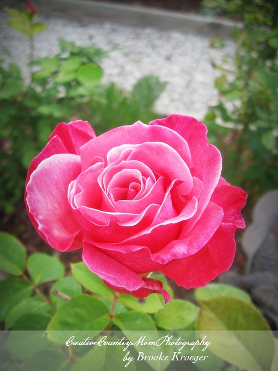 [IMG_3576%255B2%255D.jpg]