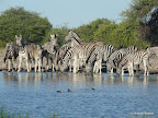 Etosha Nationalpark