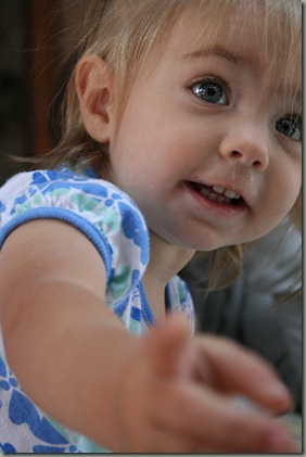 IMG_5223 IMG_5223