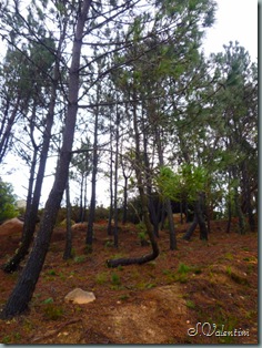 P1200170 P1200170