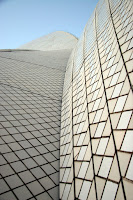 Looking up the sails