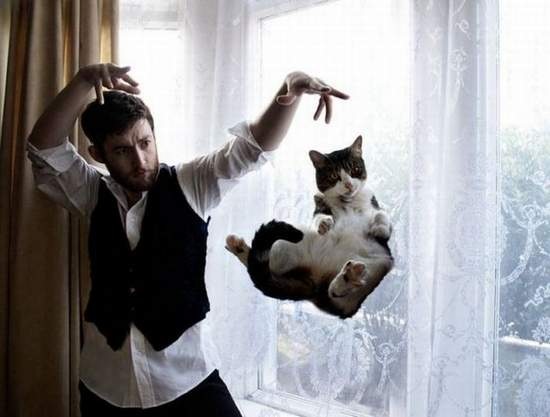 animals-and-humans_02