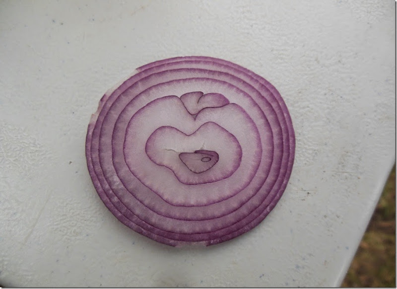Love Aust onion