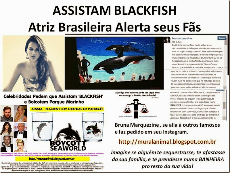 ASSISTAM BLACKFISH Marquezine