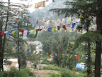 Prayer Flags