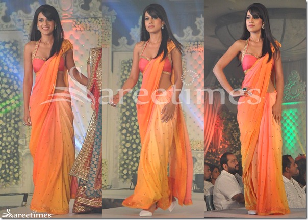 Neeta_Lulla_Orange_Embroidery_Saree