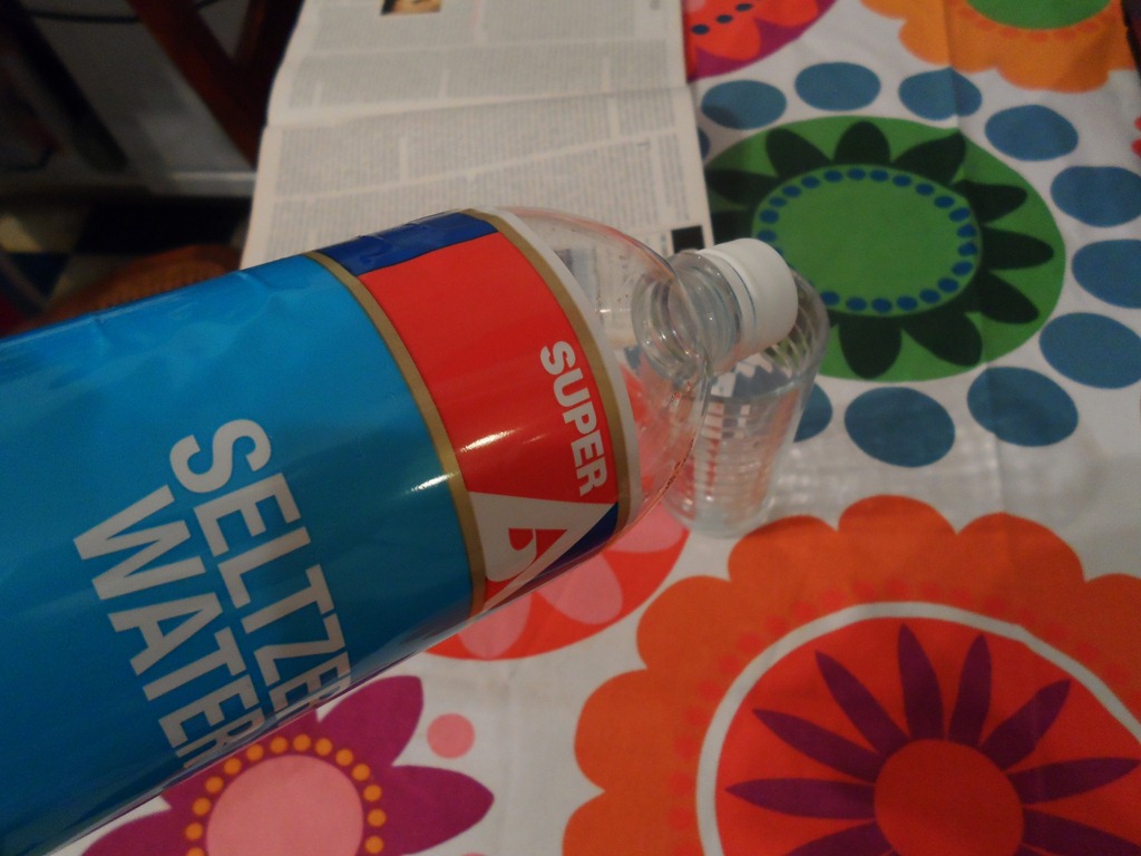 [seltzer%255B4%255D.jpg]