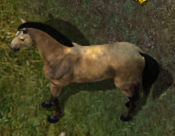 [Cavalo2.png]