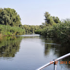 DSCN4602.JPG