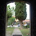 Xiprer, de l'entrada de l'església estant