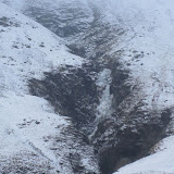 IMG_2912