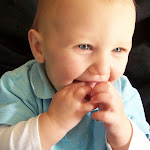 misadventures of Mason 038.JPG
