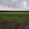dsc05534.jpg