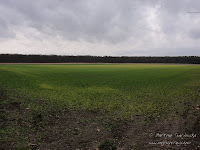 dsc05534.jpg dsc05534.jpg