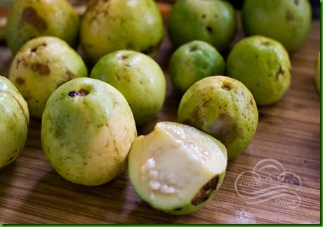 Cas Guava Cas Guava