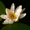 2005-2726.jpg