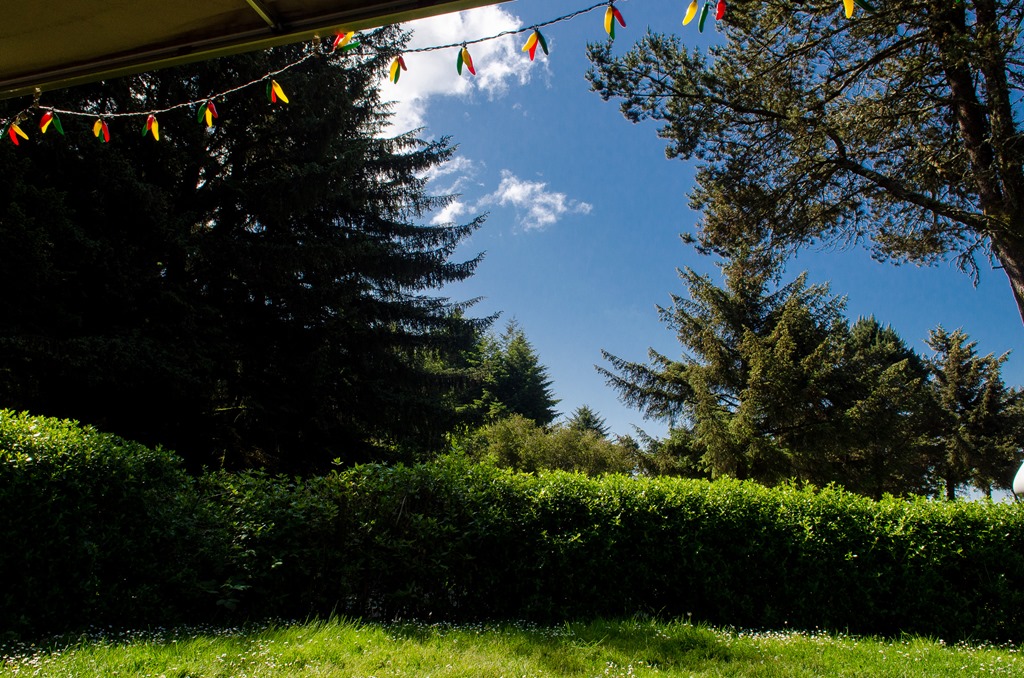 [Harris%2520Beach_051%255B4%255D.jpg]