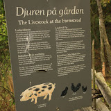 Ein hällisches Landschwein, fast. Stockholm - 3 Tag 273.jpg