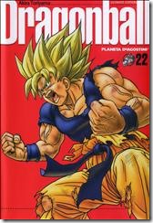 P00022 - Akira Toriyama - Dragon B P00022 - Akira Toriyama - Dragon B
