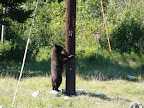 glacier_national_park_-_2009