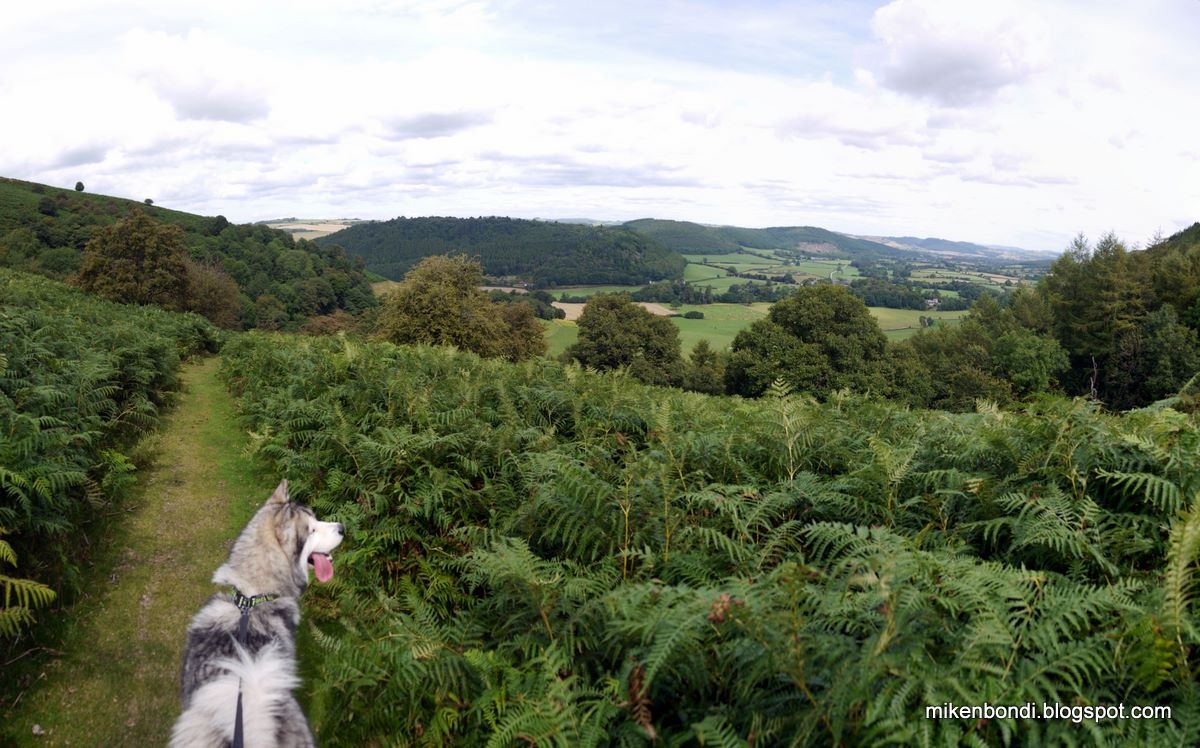 [Horrock%2520Hill%25201%255B4%255D.jpg]