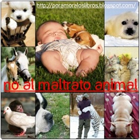 MALTRATO ANIMAL MALTRATO ANIMAL
