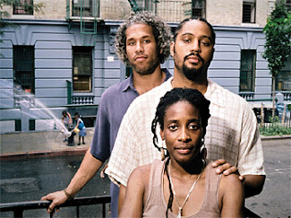 The Brotherhood Sister Sol; Photo by Hazel Hankin